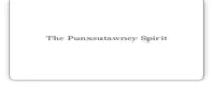 punxsutawneyspirit.com
