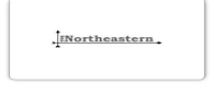 nsunews.com